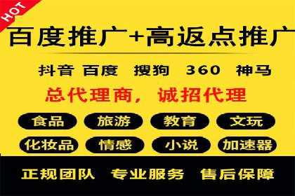 SEM推广实战：案例解析与策略探讨
