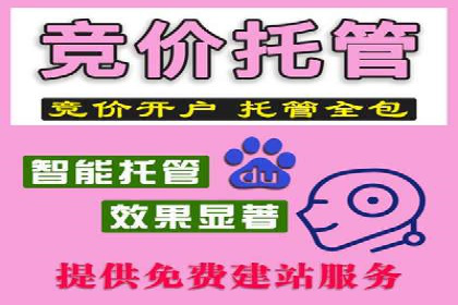 竞价托管实战：案例解析广告投放优化